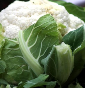 Can I Give My Baby Cauliflower