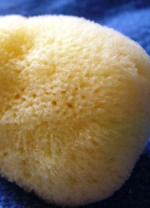 Can I Give My Baby A Sponge Bath